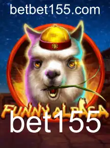 bet155 Jogo Responsável